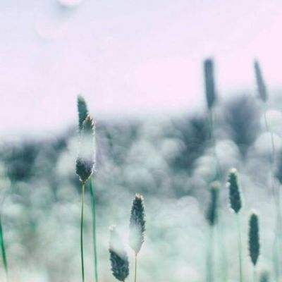 澳门网上黄金城app下载